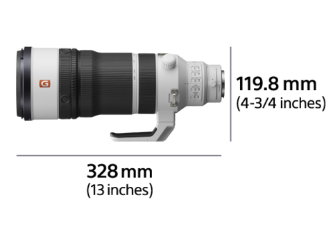 FE 100–400 mm F4.5 GM OSS | SEL100400MC | Sony Switzerland