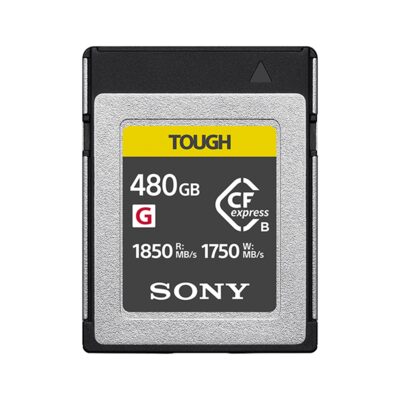 Carte CFexpress Type B Renice 300Go - 1750Mo/s L / 1700Mo/s Écri - Pour Panasonic GH6