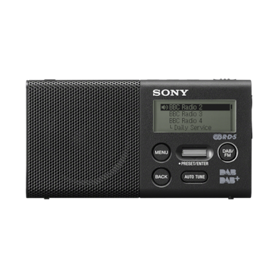Batterie De Remplacement Sony XDR-P1DBP - 3.7V 1100mAh Li-Polymère Pour Radio DAB DAB+